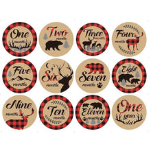 Load image into Gallery viewer, 12 Pcs Month Sticker Baby Photography Milestone Memorial Monthly Newborn Kids Commemorative Card Number Photo Accessories Gifts