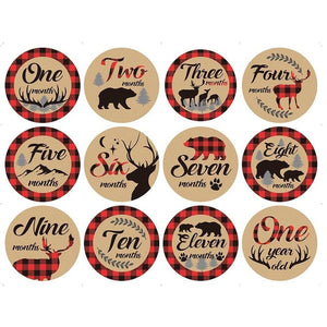12 Pcs Month Sticker Baby Photography Milestone Memorial Monthly Newborn Kids Commemorative Card Number Photo Accessories Gifts