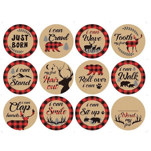 12 Pcs Month Sticker Baby Photography Milestone Memorial Monthly Newborn Kids Commemorative Card Number Photo Accessories Gifts