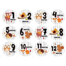 Load image into Gallery viewer, 12 Pcs Month Sticker Baby Photography Milestone Memorial Monthly Newborn Kids Commemorative Card Number Photo Accessories Gifts
