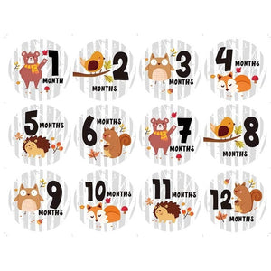 12 Pcs Month Sticker Baby Photography Milestone Memorial Monthly Newborn Kids Commemorative Card Number Photo Accessories Gifts
