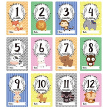 Load image into Gallery viewer, 12 Pcs Month Sticker Baby Photography Milestone Memorial Monthly Newborn Kids Commemorative Card Number Photo Accessories Gifts
