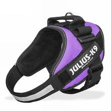 Load image into Gallery viewer, Dog Harness Sets JULIUS K9 Dog Harness Vest Collar For Small Big Grow Training Pet Safety Cat Waterproof Nylon
