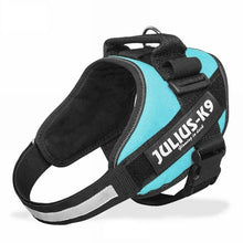 Load image into Gallery viewer, Dog Harness Sets JULIUS K9 Dog Harness Vest Collar For Small Big Grow Training Pet Safety Cat Waterproof Nylon
