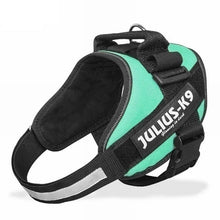 Load image into Gallery viewer, Dog Harness Sets JULIUS K9 Dog Harness Vest Collar For Small Big Grow Training Pet Safety Cat Waterproof Nylon
