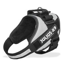 Load image into Gallery viewer, Dog Harness Sets JULIUS K9 Dog Harness Vest Collar For Small Big Grow Training Pet Safety Cat Waterproof Nylon
