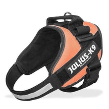 Load image into Gallery viewer, Dog Harness Sets JULIUS K9 Dog Harness Vest Collar For Small Big Grow Training Pet Safety Cat Waterproof Nylon
